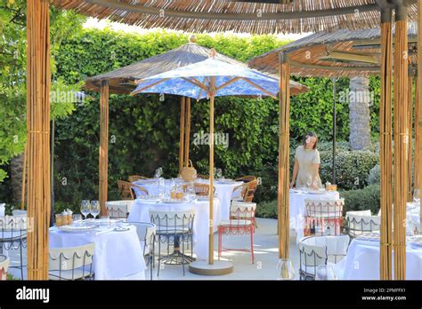 dior des lices restaurant